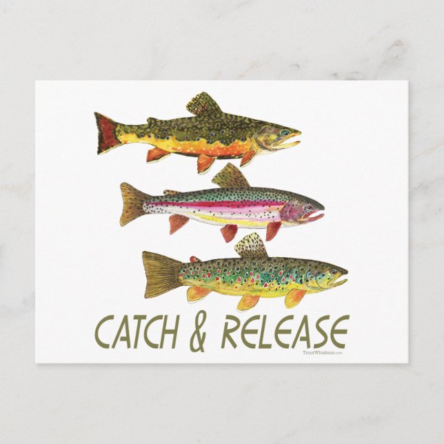 Trout Catch and Release Vykort (Framsida)