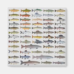 Trout, Char, Grayling, Hucho och Whitefish Group Magnet