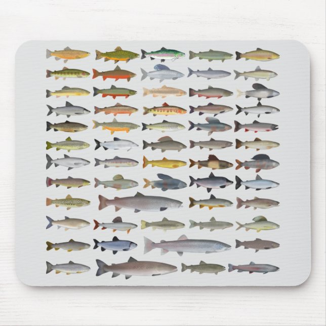 Trout, Char, Grayling, Hucho och Whitefish Group Musmatta (Framsidan)