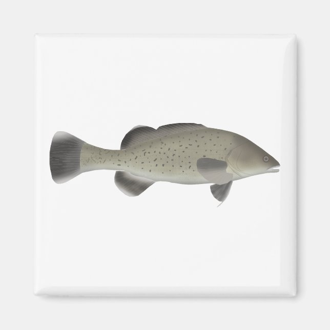 Trout Cod Magnet (Framsidan)