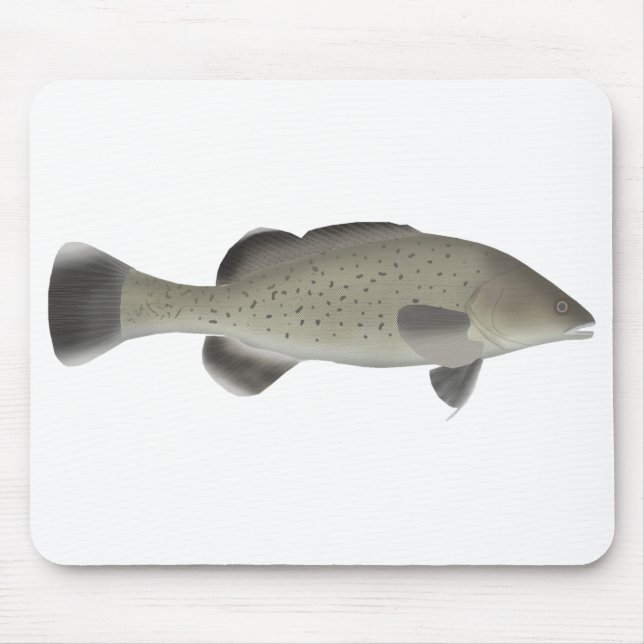 Trout Cod Musmatta (Framsidan)