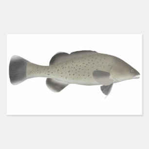 Trout Cod Rektangulärt Klistermärke