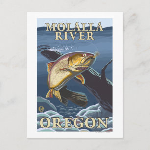 Trout Fishing Kor-Section - Molalla River Vykort