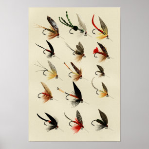 Trout Flies 174 till 188 Vintage Poster