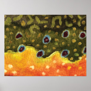 Trout Flygfiske Poster