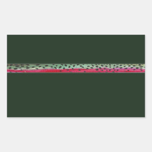 Trout för hudregnbåge rektangulärt klistermärke