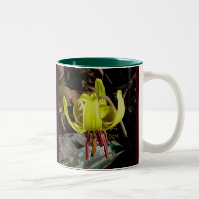 Trout Lily #1 Mugg (Höger)