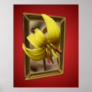 Trout Lily flydde utanför gränserna Art Poster