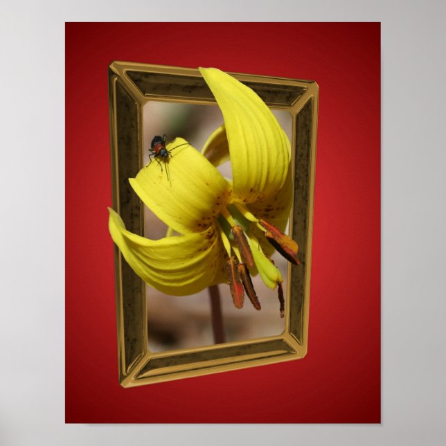 Trout Lily flydde utanför gränserna Art Poster (Framsidan)