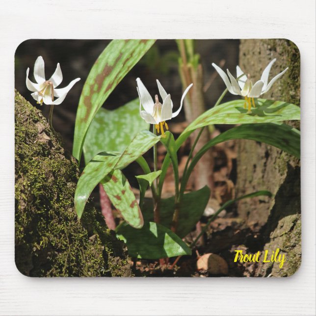 Trout Lily Mouse Pad Musmatta (Framsidan)