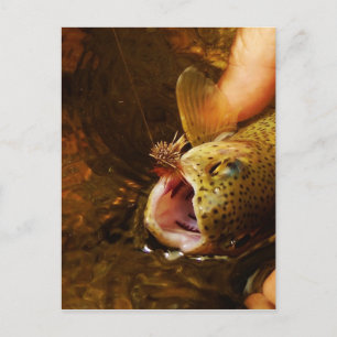 Trout och Fly Vykort