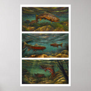 Trout Poster