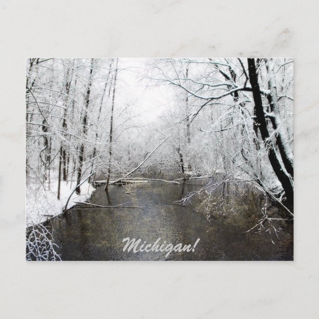 Trout River Vykort (Framsida)