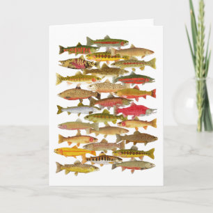 Trout & Salmon Greeting Card Kort