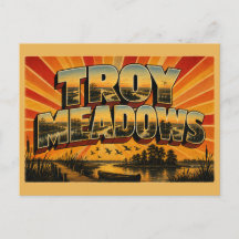 Troy Meadows New Jersey Sötvattensvåtmark Konst