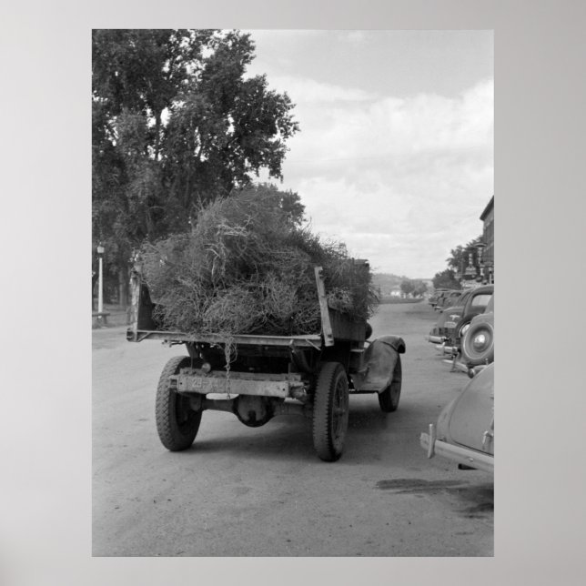 Truckload of Tumbleweed, 1939 Poster (Framsidan)