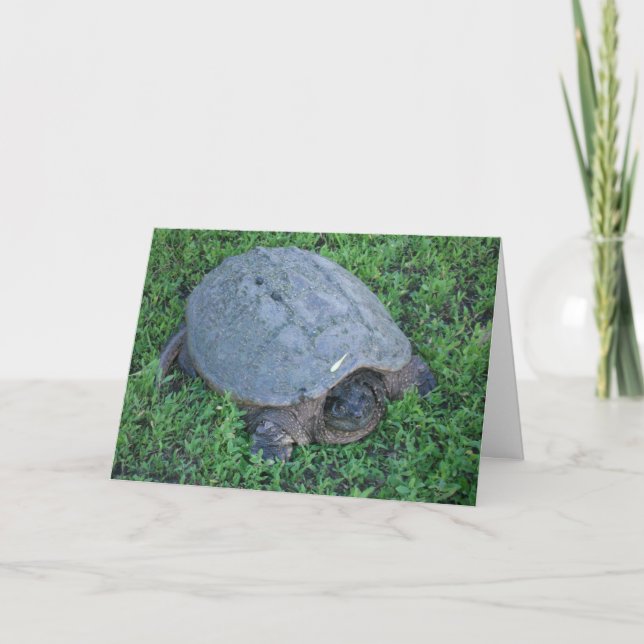 Truding under mer än 70 miljoner års födelsedag kort (Framsida)