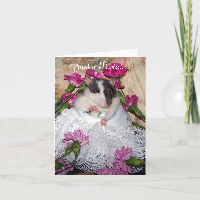 Trudy noterar kortet kort (Framsida)