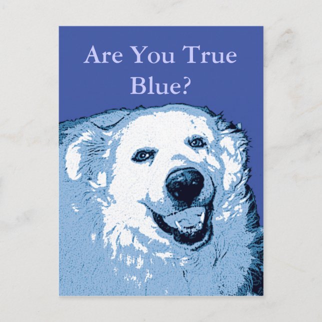 True Blue Hund Democrate-vykort Vykort (Framsida)