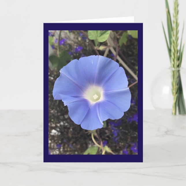 True Blue Morning Glory Kort (Framsida)