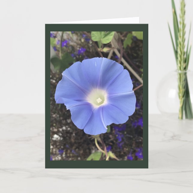 True Blue Morning Glory Kort (Framsida)