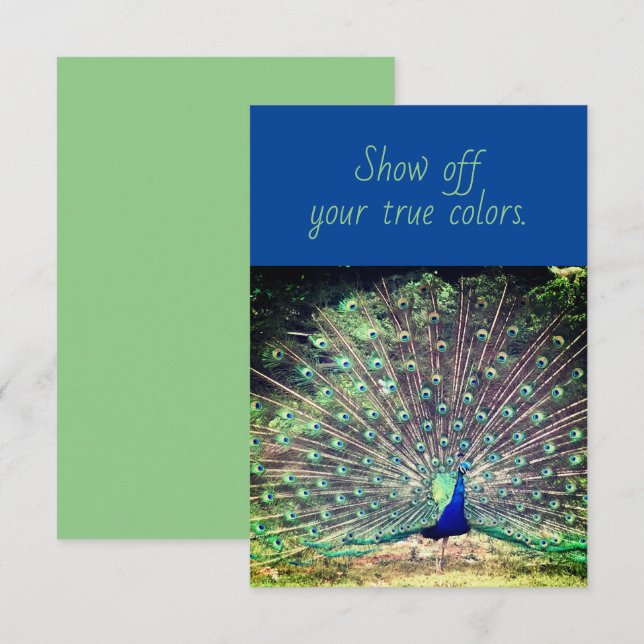 True Färg Peacock Flat Greeting Card Kort (Fram/baksida)