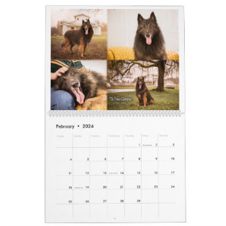 True Knight Belgium Tervuren hund/puppy Calendar Kalender