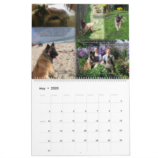 True Knight Tervuren Puppy Review Calendar 1 Kalender