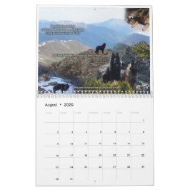 True Knight Tervurens puppy granskar kalendern Kalender
