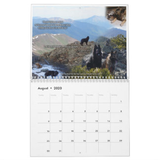 True Knight Tervurens puppy granskar kalendern Kalender