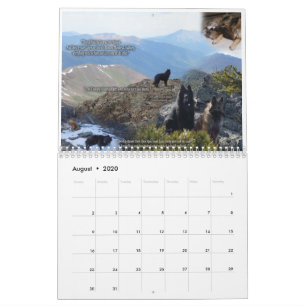 True Knight Tervurens puppy recensions-kalender Kalender