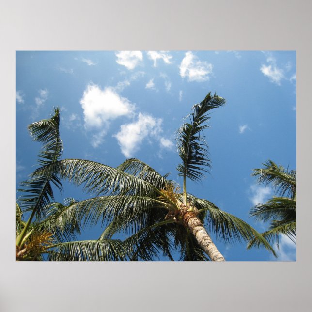 True Relaxation Poster (Framsidan)