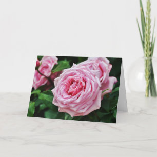 True Rosa Heirloom Ro Blank Note-kort Kort