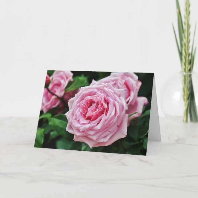 True Rosa Heirloom Ro Blank Note-kort Kort (Framsida)