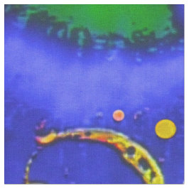 True Transcendental Tyg