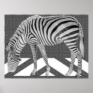 True Zebra Poster Skriv ut