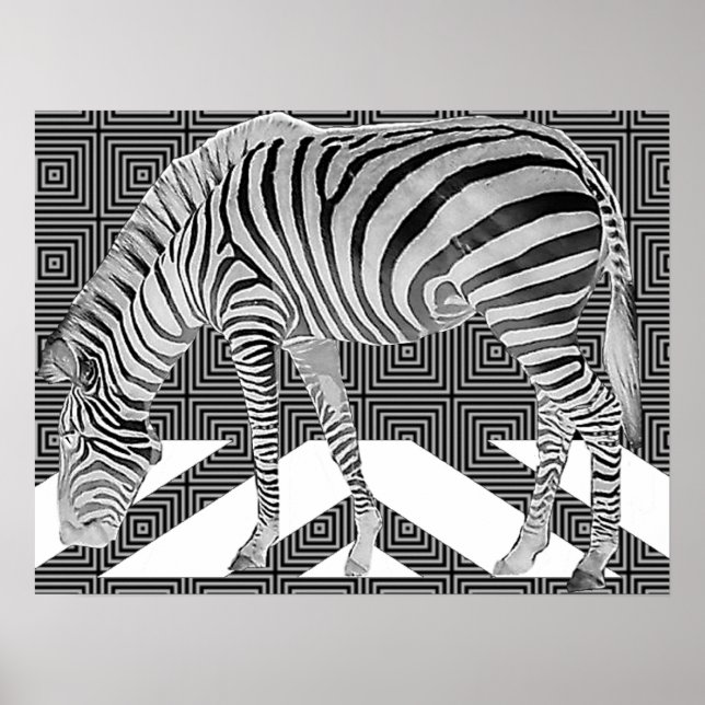 True Zebra Poster Skriv ut (Framsidan)