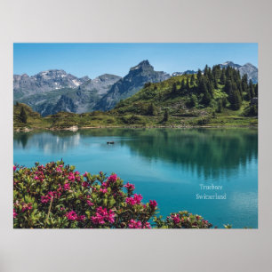 Truebsee, Schweiz landskapsfoto Poster