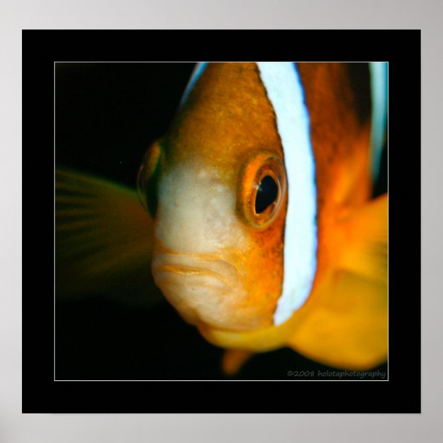 Truk Yamagiri Maru 009bbcr Poster (Framsidan)