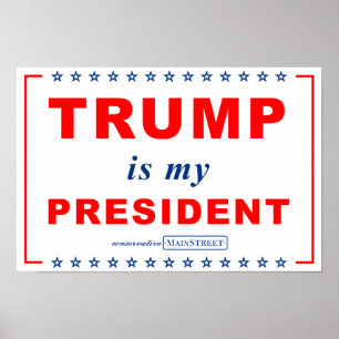 TRUMF är min PRESIDENT (RWB) samlar undertecknar Poster