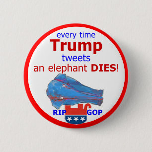 Trumf Tweets, & en elefant dör Knapp