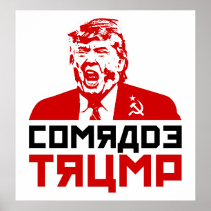 Trumfprotestaffisch 2017: "KAMRATTRUMF ", Poster