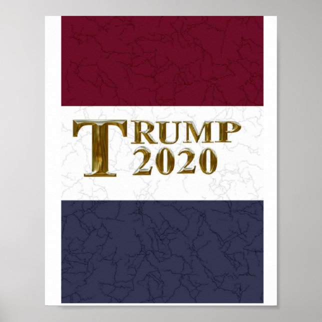 TRUMP 2020 POSTER (Framsidan)
