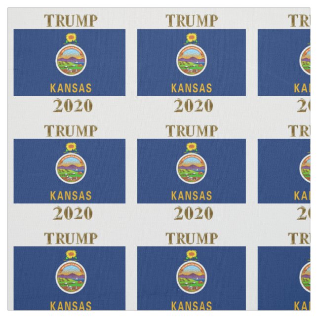 TRUMP 2020 TYG (Provkarta)