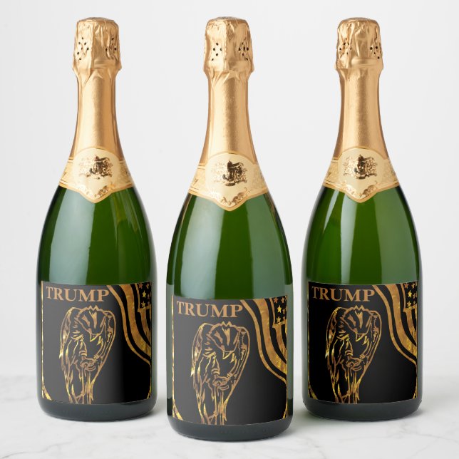 TRUMP 2024 (Flaskor)