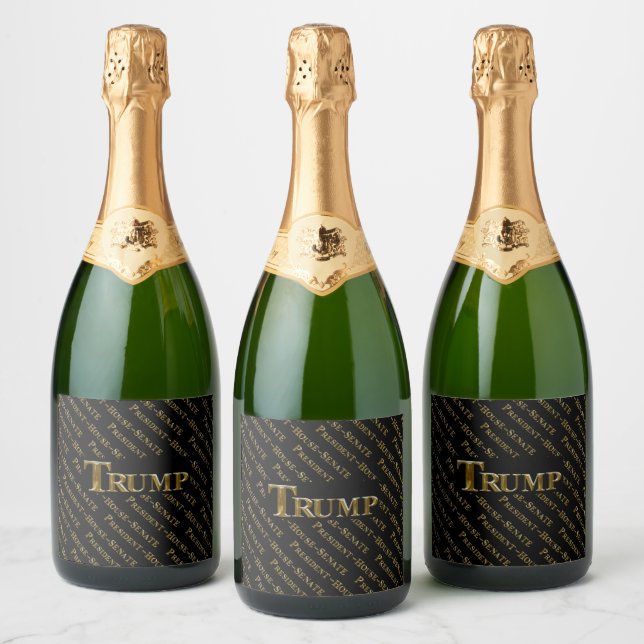 TRUMP 2024 (Flaskor)