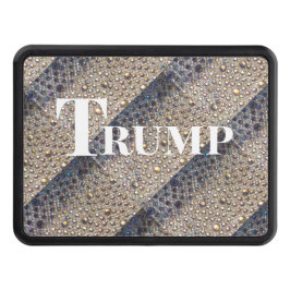 TRUMP 2024 DRAGKROKSSKYDD