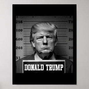 Trump 2024 Mugshot Trump Mugg Shot President Poster