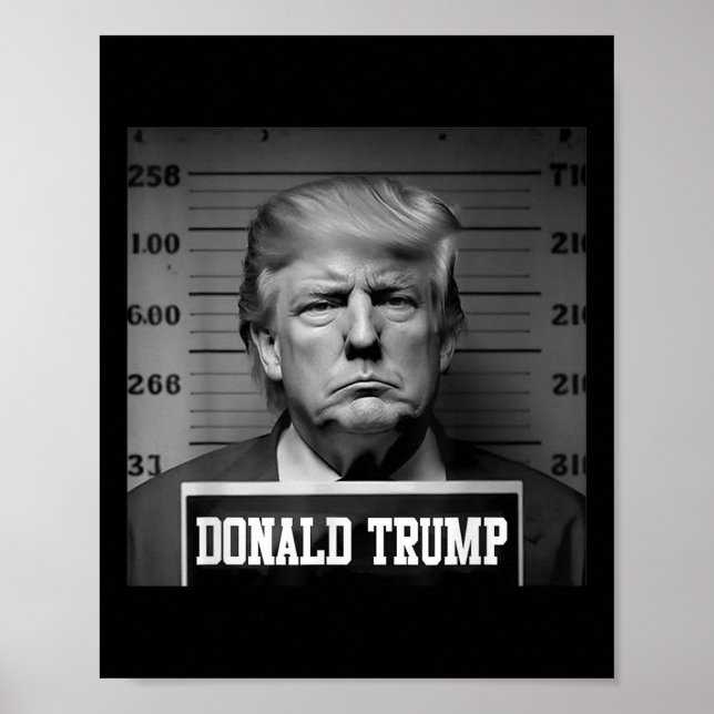 Trump 2024 Mugshot Trump Mugg Shot President Poster (Framsidan)