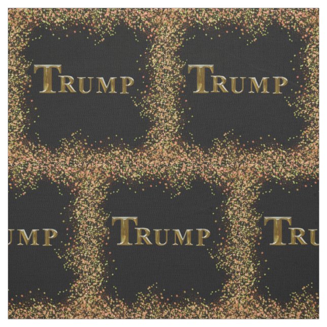 TRUMP 2024 TYG (Provkarta)